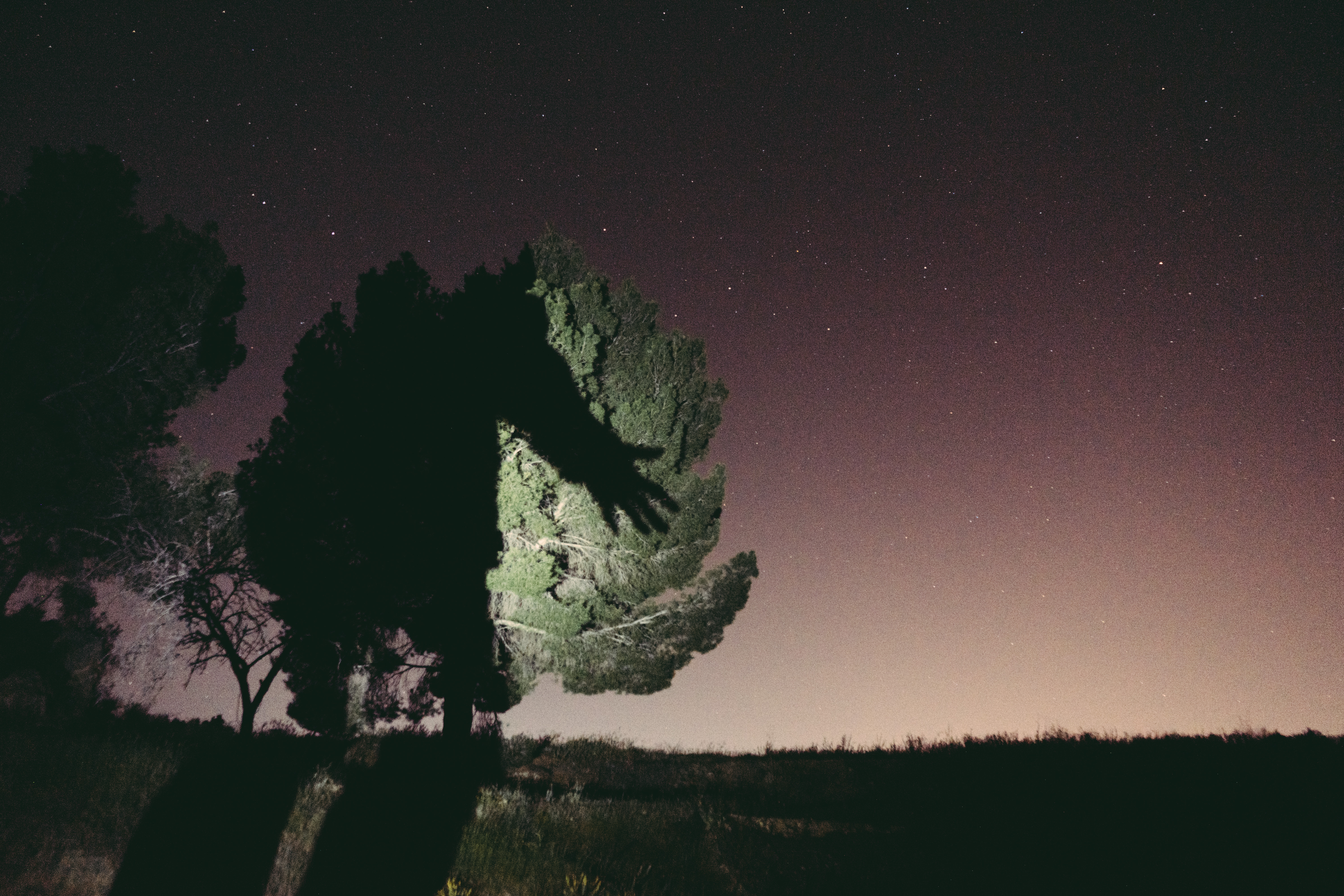 Pratiche di Gigantismo